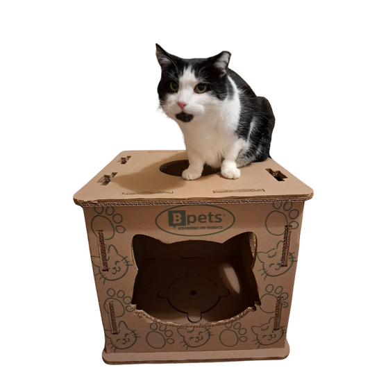 Cardboard Cat House & Scratcher – Double Layer Kitty Hideout Playhouse