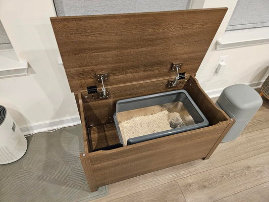 5 Tips to Keep Your Cat's Litter Box Fresh and Clean