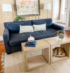 2-in-1 Cat Scratcher End Table – Modern Wood Side Table with Customizable Sisal Scratching Pad – Versatile Furniture for Cats and Home Decor