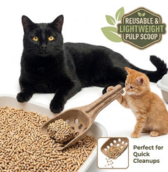 5 Pack Molded Pulp Cat Litter Scoops – Eco Friendly Kitty Sifter