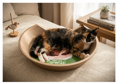 Molded Pulp Round Pet Bed, Minimalist Cat Dog Furniture Lounge