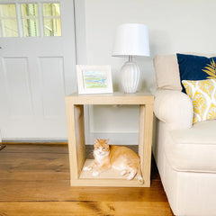 2-in-1 Cat Scratcher End Table – Modern Wood Side Table with Customizable Sisal Scratching Pad – Versatile Furniture for Cats and Home Decor