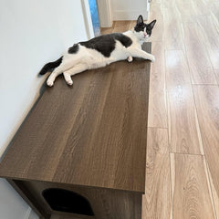 Parker Designer Cat Litter Box Enclosure – Hidden, Dog-Proof Pet Furniture with Lid, Elegant & Odor-Contained for Large Cats, Light Brown