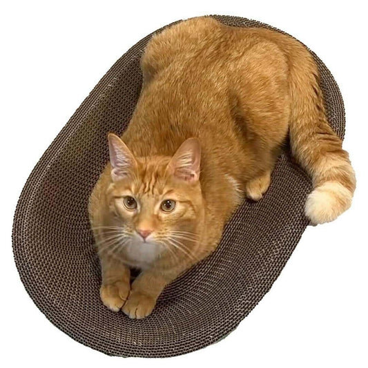 Oval Cardboard Cat Scratcher Bed Set | Modern Cat Furniture Lounge