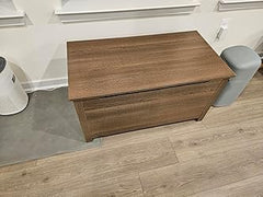 Parker Designer Cat Litter Box Enclosure – Hidden, Dog-Proof Pet Furniture with Lid, Elegant & Odor-Contained for Large Cats, Light Brown