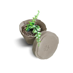 Plantable Pet Ashes Urn – Biodegradable Molded Pulp Memorial for Dogs, Cats