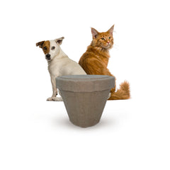 Plantable Pet Ashes Urn – Biodegradable Molded Pulp Memorial for Dogs, Cats