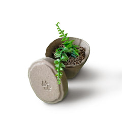 Plantable Pet Ashes Urn – Biodegradable Molded Pulp Memorial for Dogs, Cats