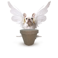 Plantable Pet Ashes Urn – Biodegradable Molded Pulp Memorial for Dogs, Cats