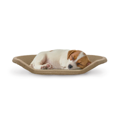 Eco Pet Bed – Bulk Box of 50 | 100% Biodegradable Paper Pulp