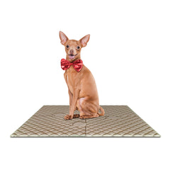 Eco Expandable Pet Play Mat – Bulk Box of 16 Sets | 100% Paper Pulp