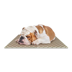 Eco Expandable Pet Play Mat – Bulk Box of 16 Sets | 100% Paper Pulp