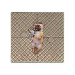 Eco Expandable Pet Play Mat – Bulk Box of 16 Sets | 100% Paper Pulp
