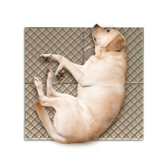 Eco Expandable Pet Play Mat – Bulk Box of 16 Sets | 100% Paper Pulp