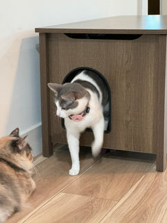 Parker Designer Cat Litter Box Enclosure – Hidden, Dog-Proof Pet Furniture with Lid, Elegant & Odor-Contained for Large Cats, Light Brown
