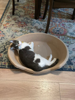 Molded Pulp Round Pet Bed, Minimalist Cat Dog Furniture Lounge