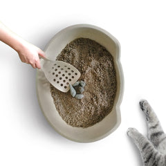 B Handy - Kitty Litter Scoop - BOX