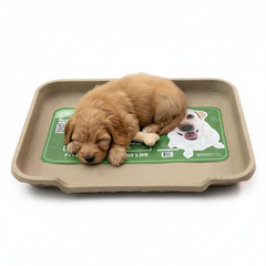 Large Dog Bed, Molded Pulp