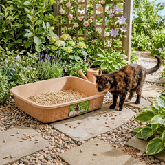 Disposable Molded Pulp Cat Litter Box 5 Pack | Travel Friendly Tray