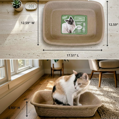 Disposable Molded Pulp Cat Litter Box 5 Pack | Travel Friendly Tray