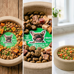 Molded Pulp Pet Feeding Bowls, (300) PIECES