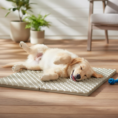 B Tidy - Expandable Play Mat (Set 4 pieces)