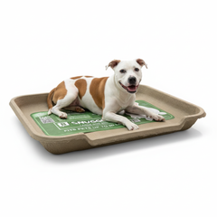 Large Dog Bed, Molded Pulp
