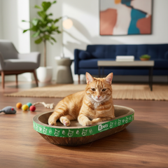 Oval Cardboard Cat Scratcher Bed Set | Modern Cat Furniture Lounge