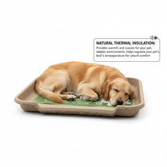 Large Dog Bed, Molded Pulp