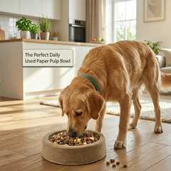 Disposable Molded Pulp Pet Feeding Bowls, 3 Pack, Leak Resistant Cat Dog Food Plate