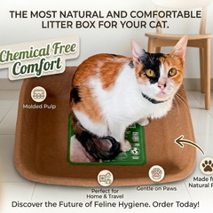 Disposable Molded Pulp Cat Litter Box 5 Pack | Travel Friendly Tray