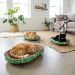 Oval Cardboard Cat Scratcher Bed Set | Modern Cat Furniture Lounge