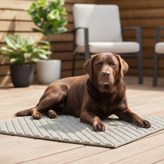 B Tidy - Expandable Play Mat (Set 4 pieces)