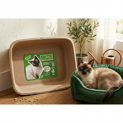 Disposable Molded Pulp Cat Litter Box 5 Pack | Travel Friendly Tray