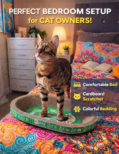 Oval Cardboard Cat Scratcher Bed Set | Modern Cat Furniture Lounge