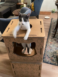 Cardboard Cat House & Scratcher – Double Layer Kitty Hideout Playhouse