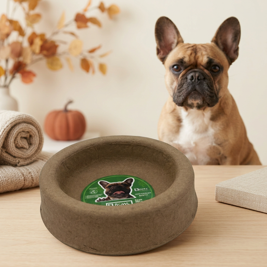 Plato en ambiente otoñal con perrito
