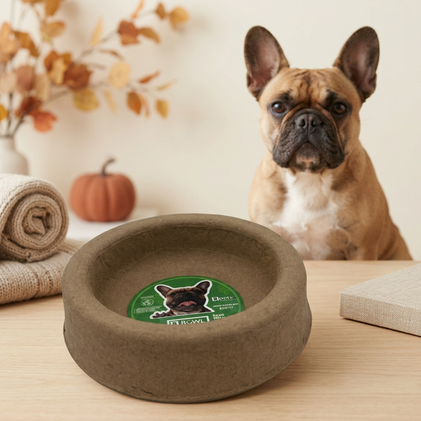 Disposable Molded Pulp Pet Feeding Bowls, 3 Pack, Leak Resistant Cat Dog Food Plate