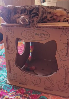 Cat House+ Oval Scratcher