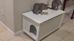 Parker Designer Cat Litter Box Enclosure – Hidden, Dog-Proof Pet Furniture with Lid, Elegant & Odor-Contained for Large Cats, White