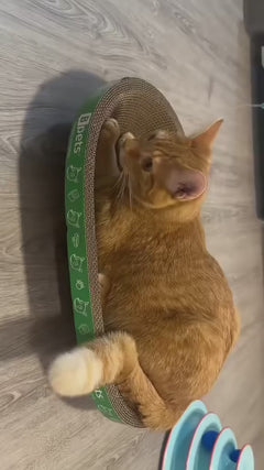 Oval Cardboard Cat Scratcher Bed Set | Modern Cat Furniture Lounge